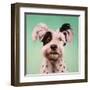 Follow Your Nose 8-Lucia Heffernan-Framed Art Print