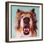 Follow Your Nose 9-Lucia Heffernan-Framed Art Print