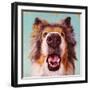 Follow Your Nose 9-Lucia Heffernan-Framed Art Print