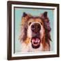 Follow Your Nose 9-Lucia Heffernan-Framed Art Print