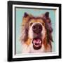 Follow Your Nose 9-Lucia Heffernan-Framed Art Print