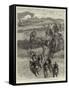 Following the Hounds by Train, a Scene in New Zealand-John Charlton-Framed Stretched Canvas