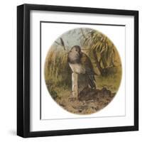 Following the Unfortunate Death of Cock Robin, the Thrush Mourns for the Dear Departed-null-Framed Art Print