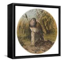 Following the Unfortunate Death of Cock Robin, the Thrush Mourns for the Dear Departed-null-Framed Stretched Canvas