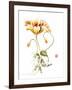 Following-Nan Rae-Framed Art Print