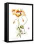 Following-Nan Rae-Framed Stretched Canvas