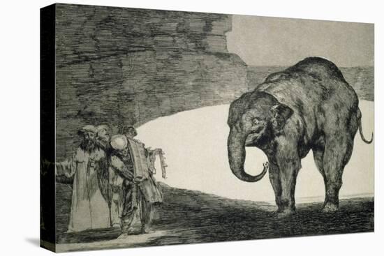 Folly of Beasts, from the Follies Series, or Other Laws for the People, circa 1815-24-Francisco de Goya-Stretched Canvas