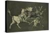 Folly of the Bulls, from the Follies Series, circa 1815-24-Francisco de Goya-Stretched Canvas