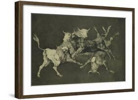 Folly of the Bulls, from the Follies Series, circa 1815-24-Francisco de Goya-Framed Giclee Print