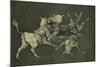 Folly of the Bulls, from the Follies Series, circa 1815-24-Francisco de Goya-Mounted Giclee Print