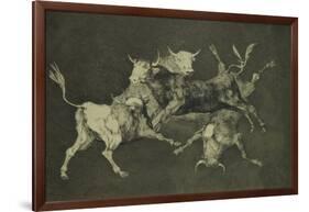 Folly of the Bulls, from the Follies Series, circa 1815-24-Francisco de Goya-Framed Giclee Print