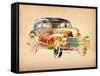 Folsfagen Car 2-Mark Ashkenazi-Framed Stretched Canvas