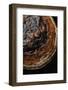 Fomitopsis Pinicola (Red-Belted Bracket, Red-Banded Bracket, Red Banded Polypore)-Paul Starosta-Framed Photographic Print