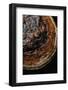 Fomitopsis Pinicola (Red-Belted Bracket, Red-Banded Bracket, Red Banded Polypore)-Paul Starosta-Framed Photographic Print