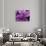 Fond Dous Estate, Persian Shield, St. Lucia, Caribbean-Greg Johnston-Photographic Print displayed on a wall