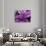 Fond Dous Estate, Persian Shield, St. Lucia, Caribbean-Greg Johnston-Photographic Print displayed on a wall