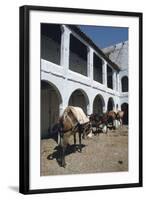 Fondouk, Chefchaouen, Morocco-Vivienne Sharp-Framed Photographic Print