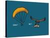 Fondus de montagne - Parapente-Sylvain Bichicchi-Stretched Canvas