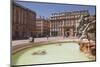 Fontaine Bartholdi in Place Des Terreaux, Lyon, Rhone, Rhone-Alpes, France, Europe-Julian Elliott-Mounted Photographic Print