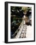 Fontaine de Medicis, Medicis' Fountain, Jardin de Luxemburg, Paris, France-Michele Molinari-Framed Photographic Print