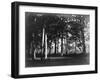 Fontainebleau, 1849 - Study of Trees and Pathways-Gustave Le Gray-Framed Art Print