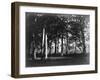 Fontainebleau, 1849 - Study of Trees and Pathways-Gustave Le Gray-Framed Art Print