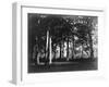 Fontainebleau, 1849 - Study of Trees and Pathways-Gustave Le Gray-Framed Art Print