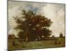 Fontainebleau Oak, C.1840-Jules Dupre-Mounted Giclee Print