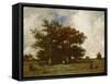 Fontainebleau Oak, C.1840-Jules Dupre-Framed Stretched Canvas