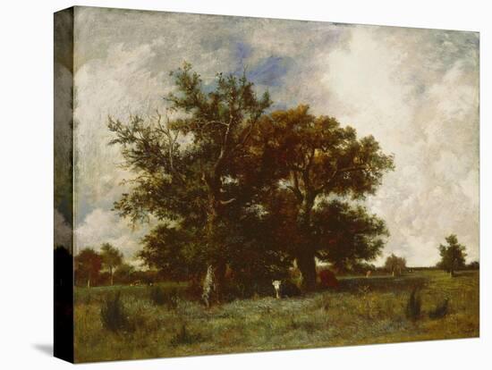 Fontainebleau Oak, C.1840-Jules Dupre-Stretched Canvas