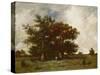 Fontainebleau Oak, C.1840-Jules Dupre-Stretched Canvas
