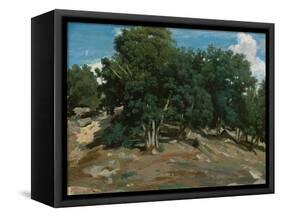 Fontainebleau: Oak Trees at Bas-Bréau, 1832-3-Jean-Baptiste-Camille Corot-Framed Stretched Canvas