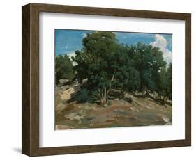 Fontainebleau: Oak Trees at Bas-Bréau, 1832-3-Jean-Baptiste-Camille Corot-Framed Giclee Print