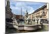 Fontana Del Moro, by Bernini, Piazza Navona, Rome, Lazio, Italy-James Emmerson-Mounted Photographic Print