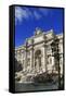 Fontana di Trevi, Rome, Lazio, Italy, Europe-Hans-Peter Merten-Framed Stretched Canvas