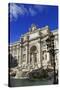 Fontana di Trevi, Rome, Lazio, Italy, Europe-Hans-Peter Merten-Stretched Canvas