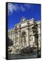 Fontana di Trevi, Rome, Lazio, Italy, Europe-Hans-Peter Merten-Framed Stretched Canvas