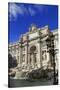 Fontana di Trevi, Rome, Lazio, Italy, Europe-Hans-Peter Merten-Stretched Canvas