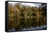 Fonthill Estate Lake, Wiltshire, 2005-Peter Thompson-Framed Stretched Canvas