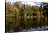 Fonthill Estate Lake, Wiltshire, 2005-Peter Thompson-Stretched Canvas