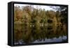 Fonthill Estate Lake, Wiltshire, 2005-Peter Thompson-Framed Stretched Canvas