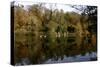 Fonthill Estate Lake, Wiltshire, 2005-Peter Thompson-Stretched Canvas