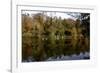 Fonthill Estate Lake, Wiltshire, 2005-Peter Thompson-Framed Photographic Print