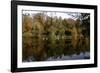 Fonthill Estate Lake, Wiltshire, 2005-Peter Thompson-Framed Photographic Print