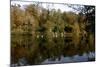 Fonthill Estate Lake, Wiltshire, 2005-Peter Thompson-Mounted Photographic Print