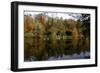 Fonthill Estate Lake, Wiltshire, 2005-Peter Thompson-Framed Photographic Print