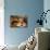 Food and Drink, Gothenburg, Sweden, Scandinavia, Europe-Frank Fell-Mounted Photographic Print displayed on a wall