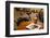 Food and Drink, Gothenburg, Sweden, Scandinavia, Europe-Frank Fell-Framed Premium Photographic Print