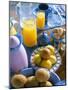 Food and Drink on Board a Catamaran, Praslin, Seychelles, Indian Ocean, Africa-Bruno Barbier-Mounted Photographic Print