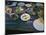 Food at the Haret Idoudna Restaurant, Madaba, Jordan, Middle East-Alison Wright-Mounted Photographic Print